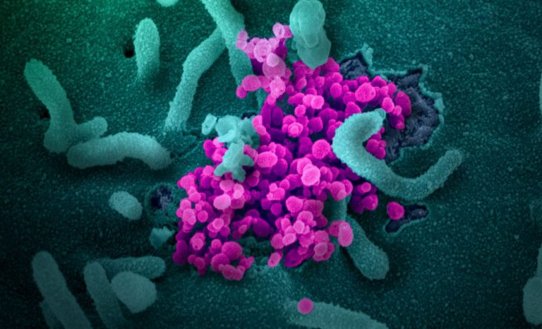 El 21% de los mexicanos, sin miedo del Covid-19