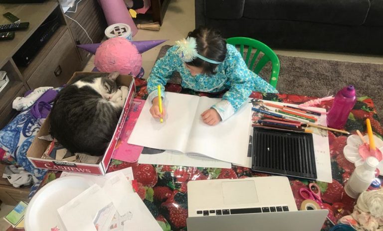 Un año de clases a distancia: desigualdades y deficiencias