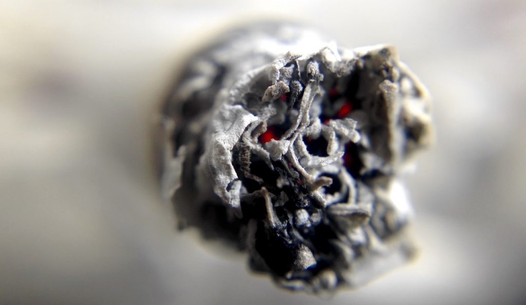 Fumar también daña el planeta