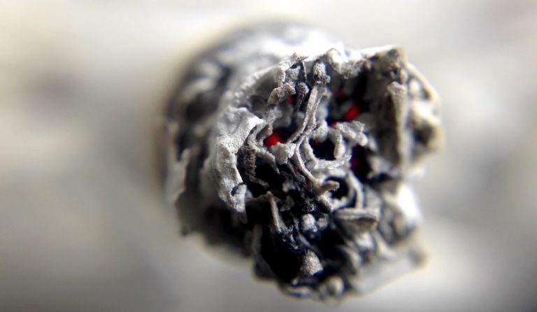 Fumar también daña el planeta