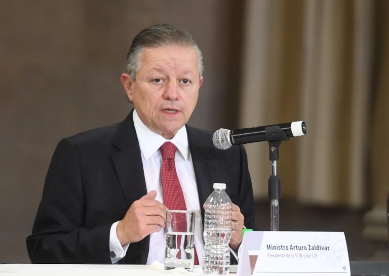Arturo Zaldívar Lelo de Larrea, ministro de la SCJN