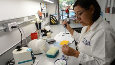 Científicos de la UNAM estudian virus para combatir bacterias resistentes a antibióticos