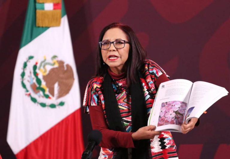 Leticia Ramírez, titular de la SEP. Foto: Especial.