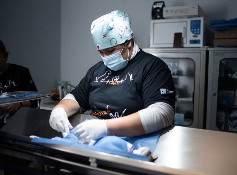 Acude Rodrigo Monsalvo a la Campaña Masiva Gratuita De Esterilización Canina y Felina