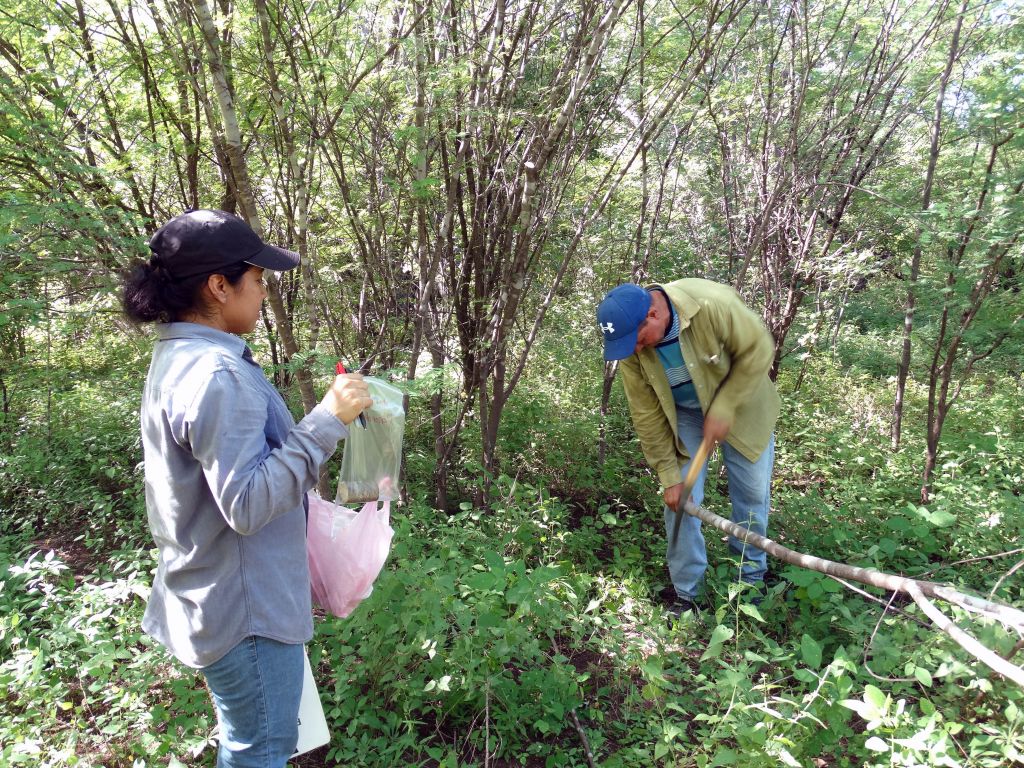 Investigación en regiones semiáridas de Sonora.