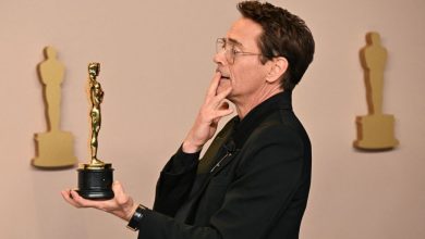 Robert Downey Jr.