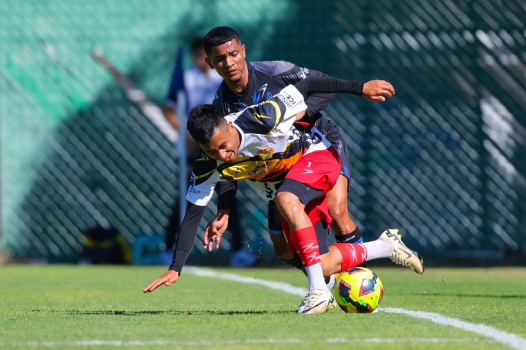 Juego amistoso: Gallos Blancos Vs. Morelia